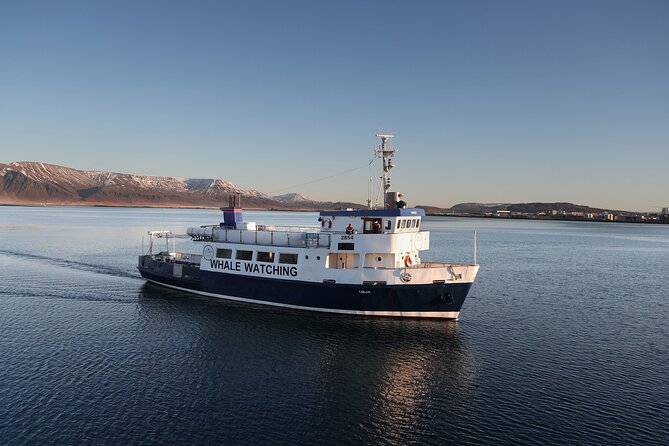 New Years Fireworks by Boat from Reykjavik - What to Expect During the Midnight Fireworks and Toast