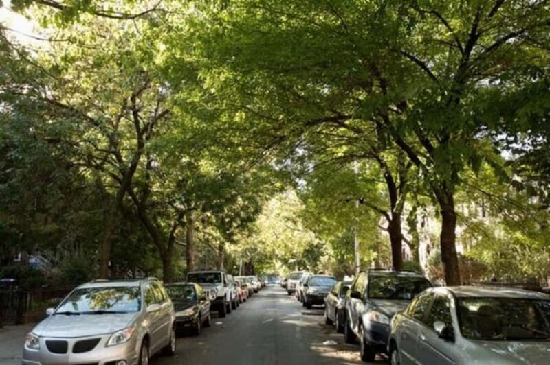 New York: Best Street Food Tour With A Local Guide - Brooklyn Heights: Classic Charm and Sweet Treats