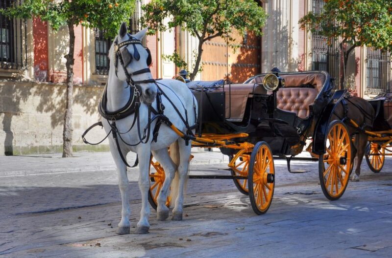 New York: Carriage Ride in Central Park - The Experience of a Classic Horse-Drawn Carriage Ride