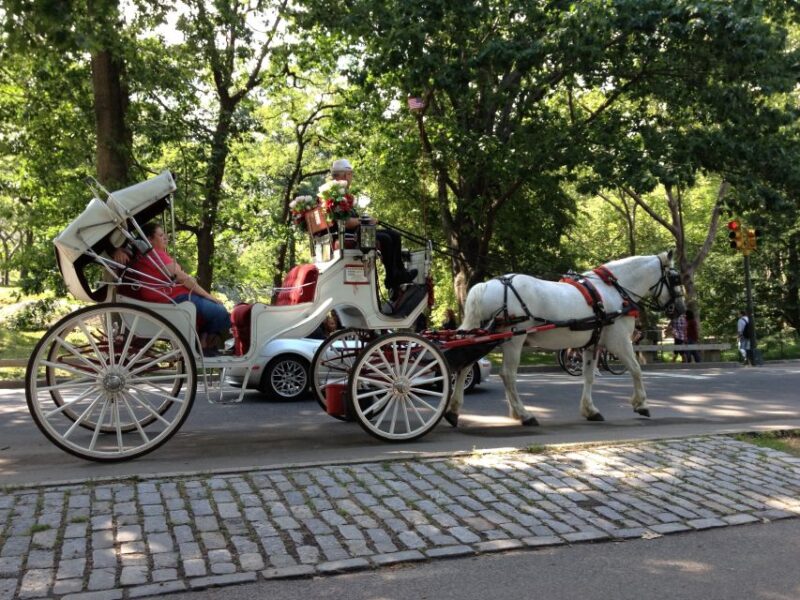 New York: Carriage Ride in Central Park - Potential Limitations and Considerations