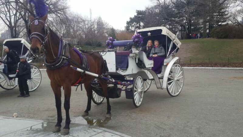 New York: Carriage Ride in Central Park - How This Tour Compares to Similar Experiences
