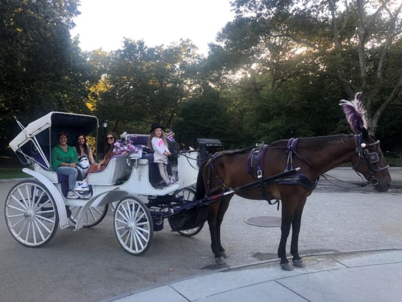 New York: Carriage Ride in Central Park - Final Thoughts on the Central Park Carriage Ride Experience