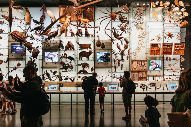 New York City: American Museum of Natural History Ticket - Key Points