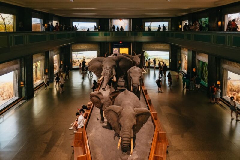 New York City: American Museum of Natural History Ticket - The Gilder Center: A Modern Addition