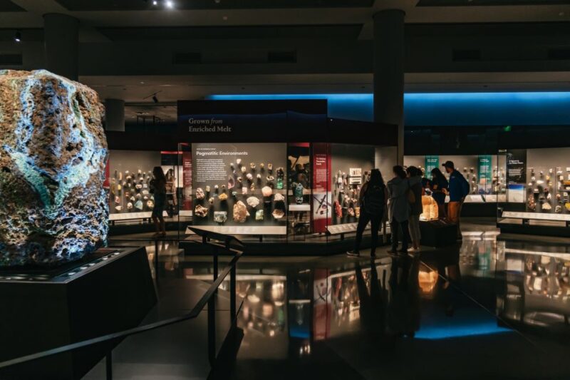 New York City: American Museum of Natural History Ticket - Special Exhibitions and Ticket Upgrades