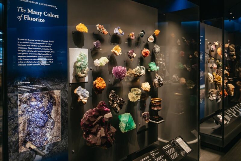 New York City: American Museum of Natural History Ticket - The Butterfly Vivarium and Other Interactive Features