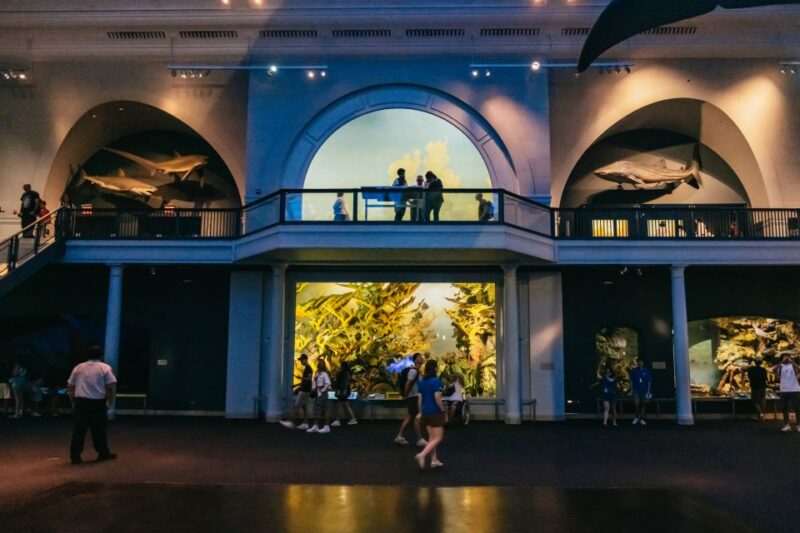 New York City: American Museum of Natural History Ticket - Comparing Ticket Options and Value