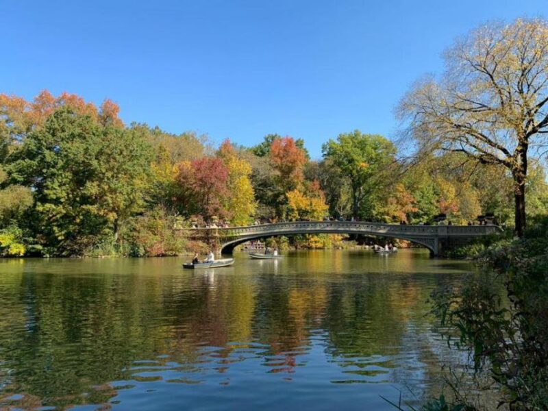 New York City: Central Park Highlights Walking Tour - Seasonal Variations and What to Expect Year-Round
