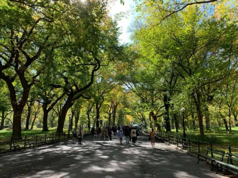 New York City: Central Park Highlights Walking Tour - Who Will Enjoy This Tour Most?