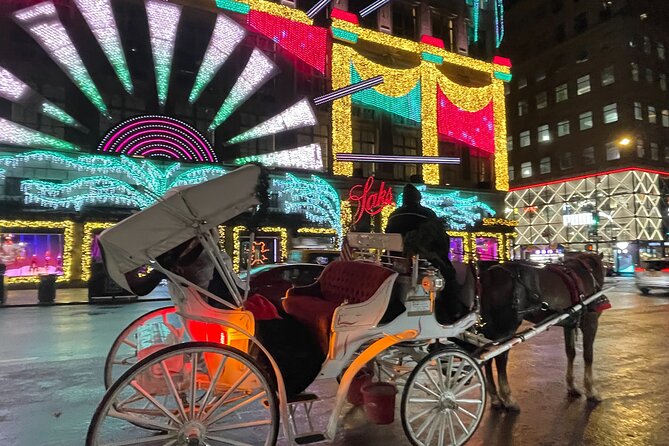 New York City Christmas Lights Private Horse Carriage Ride - Starting Point in Midtown Manhattan for a Perfect Holiday Kickoff