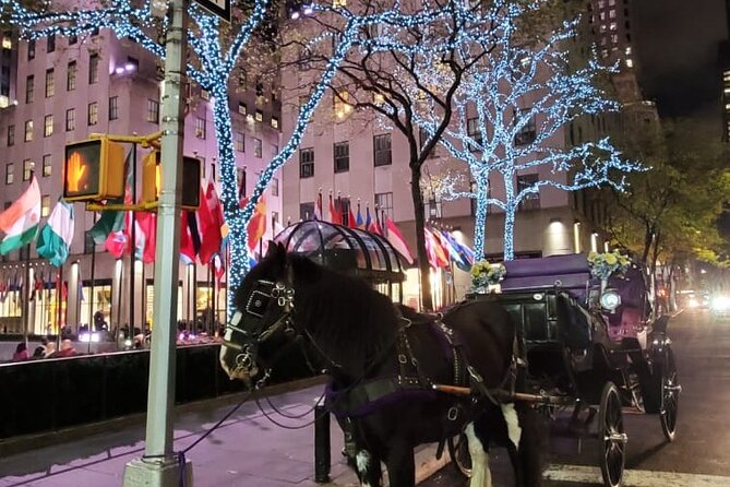 New York City Christmas Lights Private Horse Carriage Ride - Rockefeller Center and the Iconic Christmas Tree View
