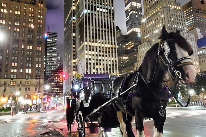 New York City Christmas Lights Private Horse Carriage Ride - Friendly, Knowledgeable Guides Enhance the Experience
