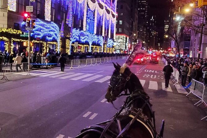 New York City Christmas Lights Private Horse Carriage Ride - Weather Considerations and Comfort Tips