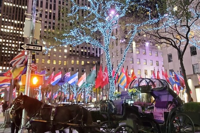 New York City Christmas Lights Private Horse Carriage Ride - Booking Tips: When and How to Reserve