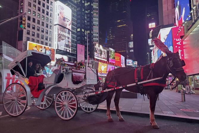 New York City Christmas Lights Private Horse Carriage Ride - Who Will Appreciate This Holiday Horse Carriage Ride?