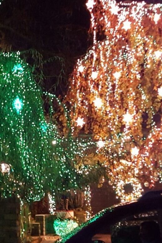 New York City: Dyker Heights Christmas Lights Tour - Visiting Dyker Heights: Brooklyn’s Christmas Display Capital