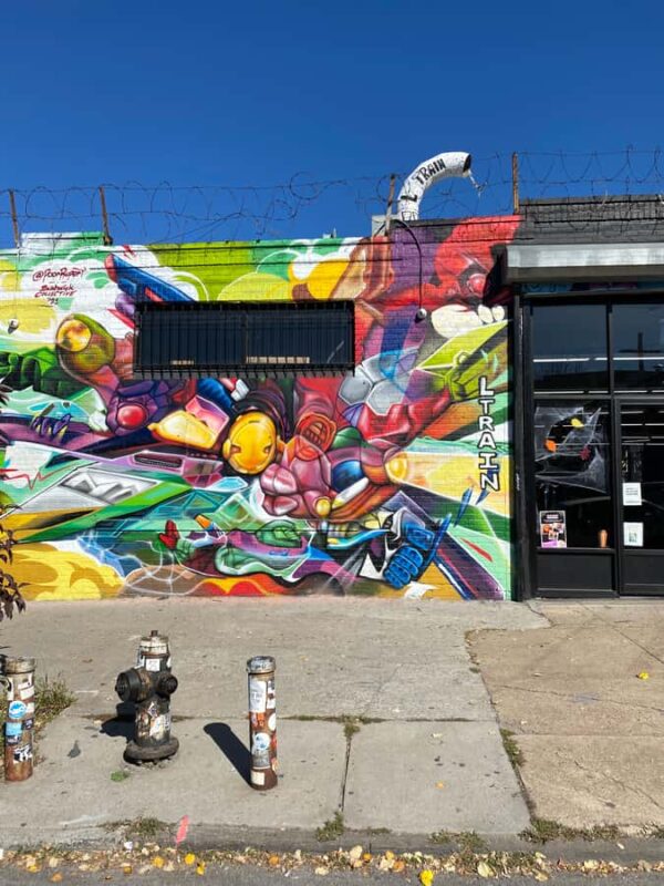New York City: French Bushwick and Williamsburg Tour - Discover Brooklyn’s Creative Neighborhoods on a French-Guided Walking Tour