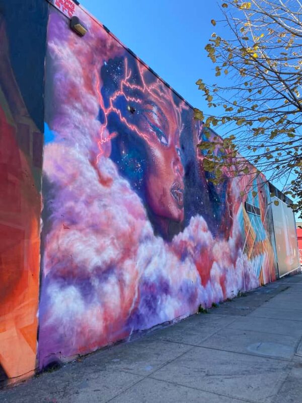 New York City: French Bushwick and Williamsburg Tour - Key Points