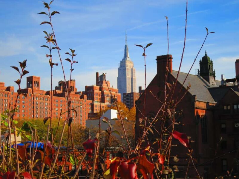 New York City: High Line Walking Tour - Overall Value and Suitability
