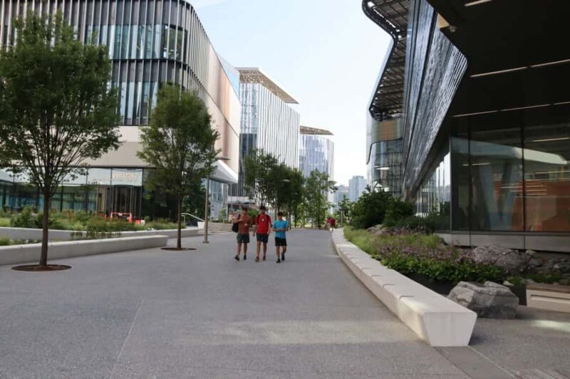 New York City: Roosevelt Island Walking Tour with Tram Ride - Roosevelt Island’s Architectural Evolution: From Asylums to Modern Living