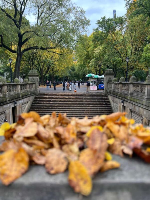 New York City: Sex And The City Tv locations Tour 90 min - Reliving Carrie’s Post-Engagement Encounter with Big