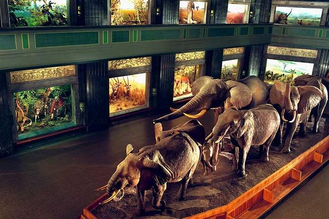 New York CityPASS® - Statue of Liberty: Ferry Ride and Museum Access