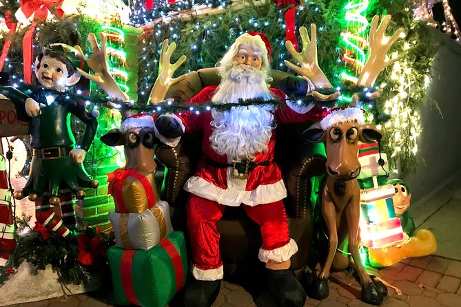 New York: Dyker Heights Christmas Lights Guided Tour - Accessibility and Group Size