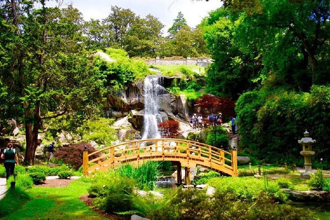 New York to Charleston 5-Day Tour - Discover the 5-Day New York to Charleston Tour for Scenic and Cultural Highlights