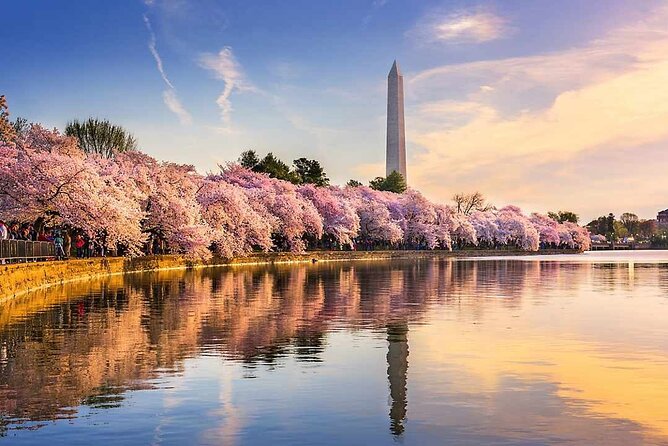 New York to Washington D.C. Spring Cherry Blossom Full-Day Tour - Experience the Beauty of Washington D.C. Cherry Blossoms on a Full-Day Tour from New York