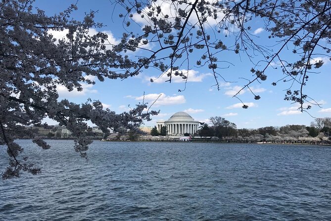 New York to Washington D.C. Spring Cherry Blossom Full-Day Tour - Key Points