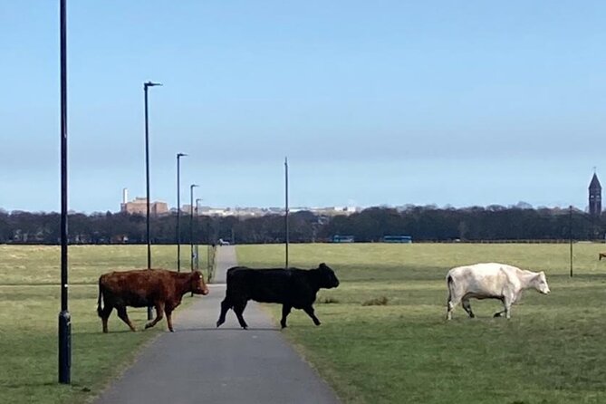 Newcastle Cycling Tour - Flexibility and Cancellation Policies