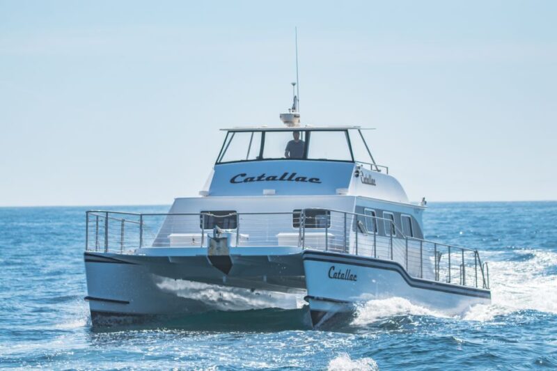 Newport Beach: Luxury Whale Watching Catamaran Cruise - Who Will Most Enjoy This Tour?