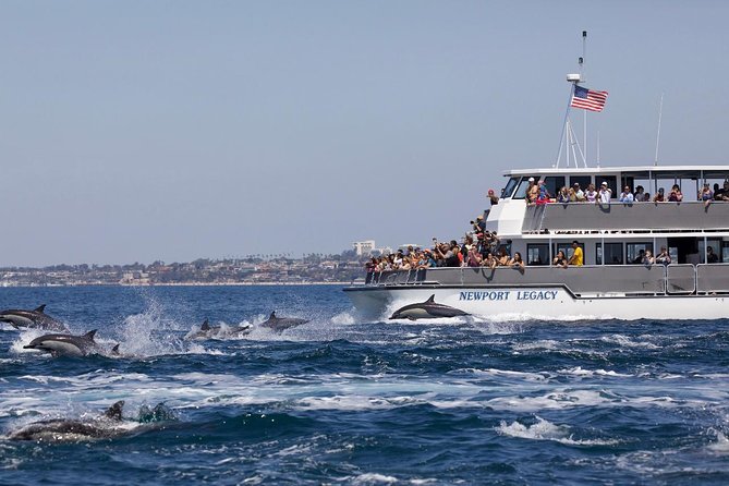 Newport Beach Whale and Dolphin Watching Cruise - How This Tour Compares with Similar Offerings