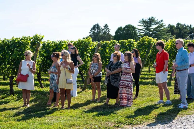Newport: Vineyards Winery Tour + Tasting - Booking, Cancellation, and Practical Tips
