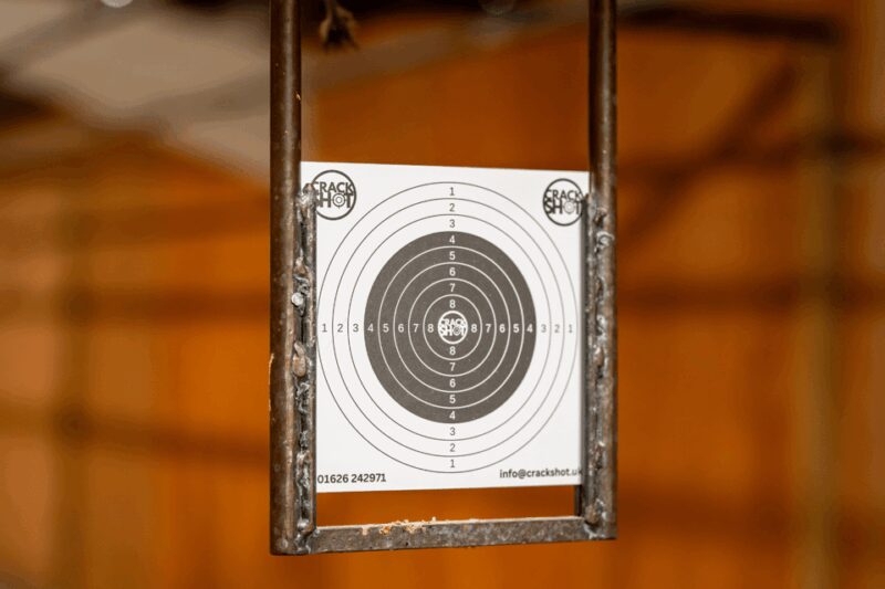 Newton Abbot: Rifle and Pistol Combo Package - Newton Abbot’s Rifle Range: Focus at 20 Meters