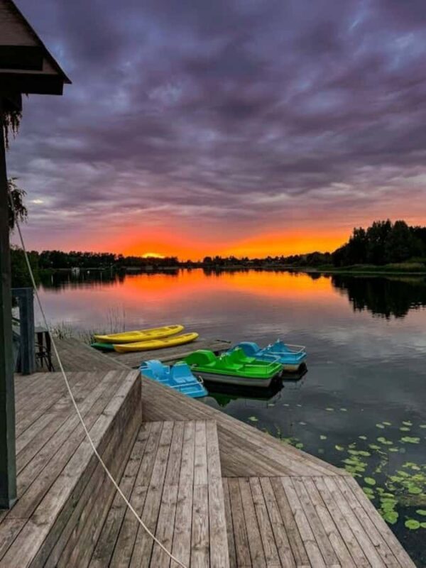 Newton: Charles River Pedal Boat Rental - Multiple Rental Durations to Fit Your Schedule