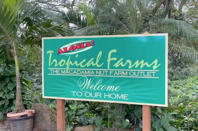 Next Level Oahu Circle Island Tour Snorkel w/Turtles and Byodo-In - Picturesque Mokolii Island and Movie-Set Locations