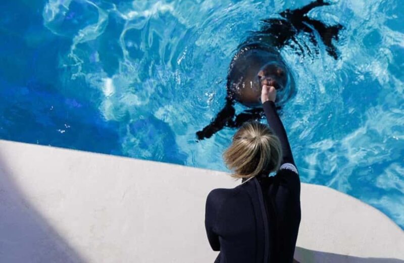 Niagara: Aquarium of Niagara General Admission - Key Points