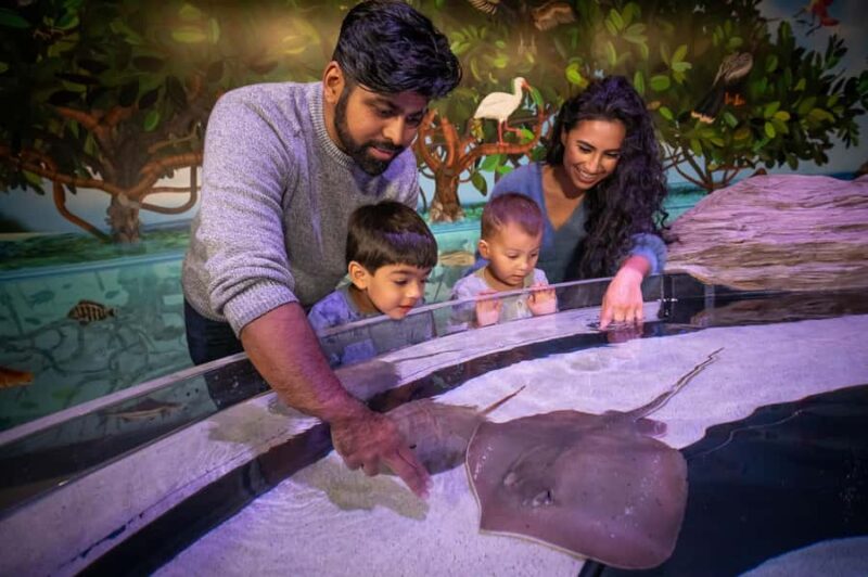 Niagara: Aquarium of Niagara General Admission - Exploring the Main Building Exhibits and Marine Life