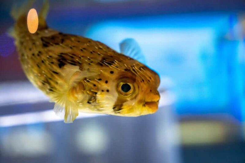 Niagara: Aquarium of Niagara General Admission - Final Thoughts on Visiting the Aquarium of Niagara