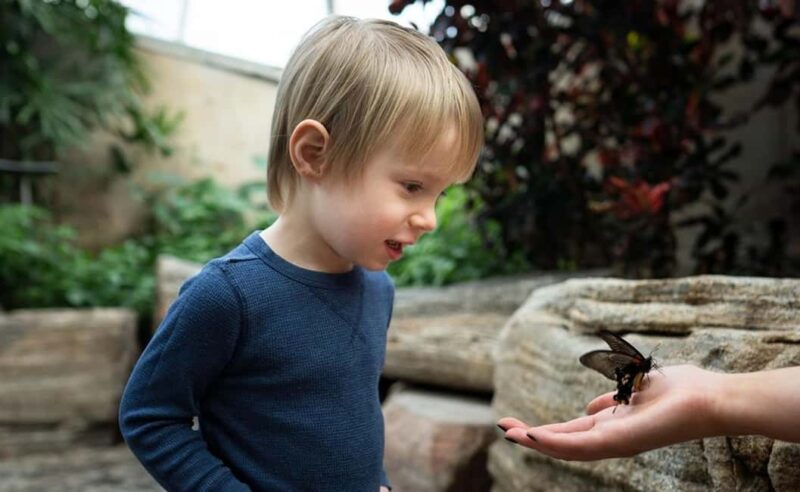 Niagara Falls: 5 Attraction Pass, WEGO Bus & Audio Guide - Niagara Falls: 5 Attraction Pass, WEGO Bus & Audio Guide – Final Thoughts