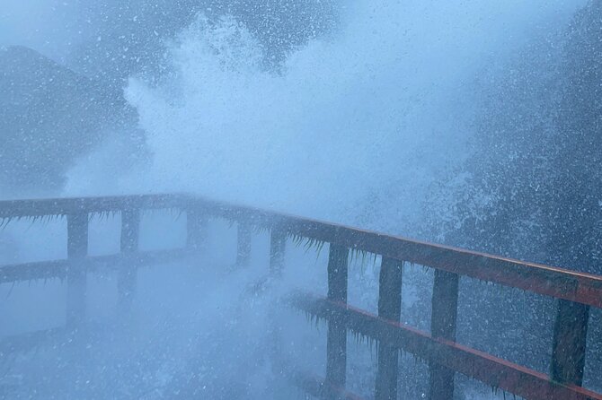 Niagara Falls- Attraction Pass- Boat, Cave, Trolley and 3 Falls - Viewing Niagara Falls from the Observation Tower