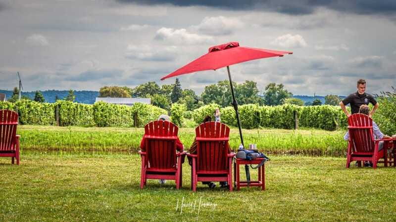 Niagara Falls, Canada: Escarpment Boutique Wine Tour - Creating Your Own Niagara Escarpment Experience