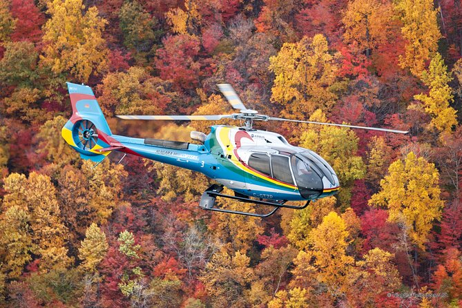 Niagara Falls CANADA Helicopter Tour - Safety, Reviews, and Overall Value