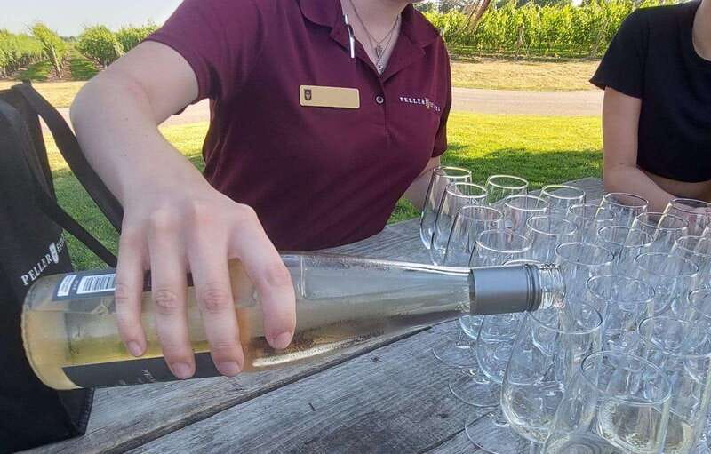 Niagara Falls: Canada with a Portuguese-speaking guide - Visiting Niagara Falls from a Scenic Perspective