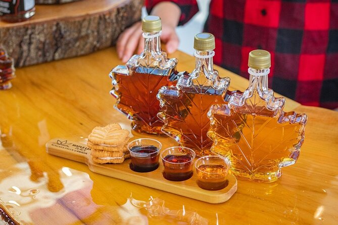 Niagara Falls Day Tour, Boat Cruise and Journey Behind the Falls - Who Will Appreciate This Tour