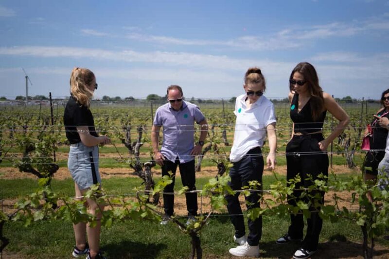 Niagara Falls: Guided Winery Tour with Tastings & Pickup - Niagara Wine Country: A Guided Tour with Four Wineries
