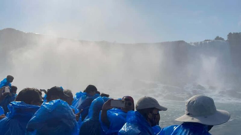 Niagara Falls, NY: Maid of the Mist Boat and Walking Tour - The Guided Walking Tour of Niagara Falls State Park