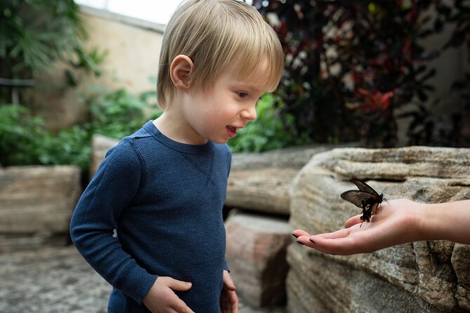 Niagara Falls Pass: 5 Iconic Attractions, WEGO Bus & Audio Guide - Discover Exotic Butterflies at the Conservatory