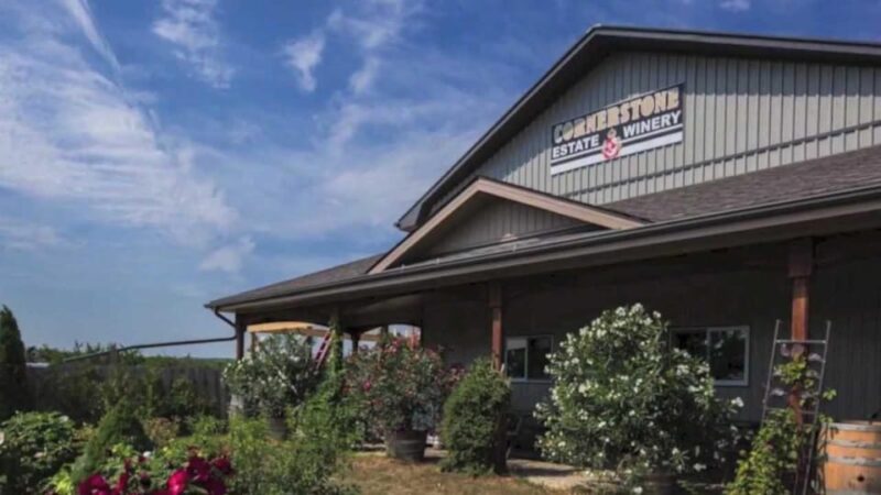 Niagara Falls: Public Niagara Wine Tour with Transportation - Practical Tips and Considerations